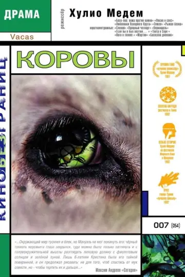 Коровы