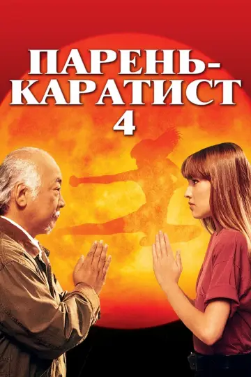 Парень-каратист 4