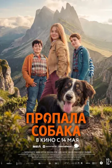Пропала собака