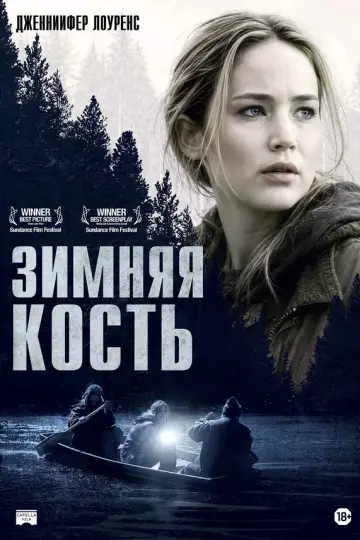 Зимняя кость